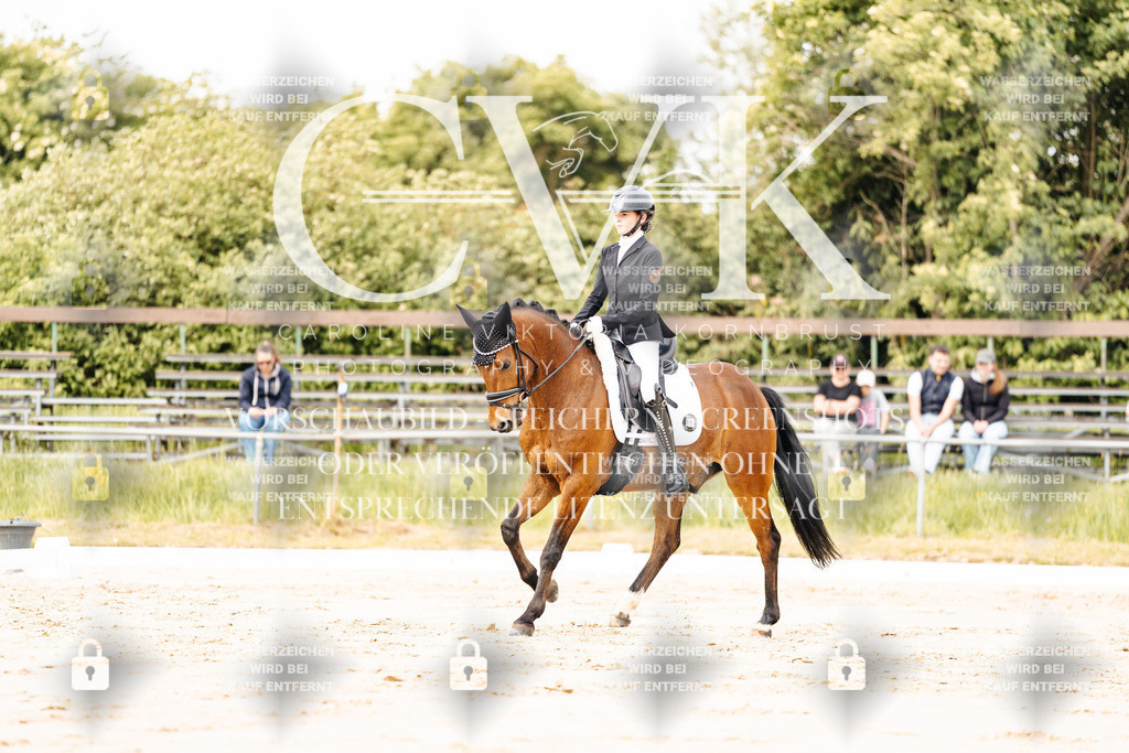 CK900894 | Turnierfotografie Pferdefotografie Trier Rheinland-Pfalz Pferdesport Reitsport Tierfotografie Sportfotografie Pferdevideo Pferdevideografie Equestrianvideography equestrianphotography  - Realisiert mit Pictrs.com