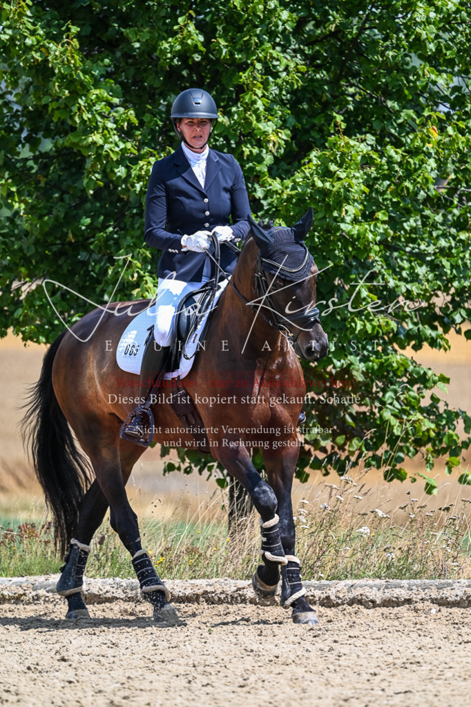 DSC_2699 | Pferde- und Turnierfotografie in Westsachsen. Pferdeportraits, Auftragszeichnungen und intuitive Kunst.