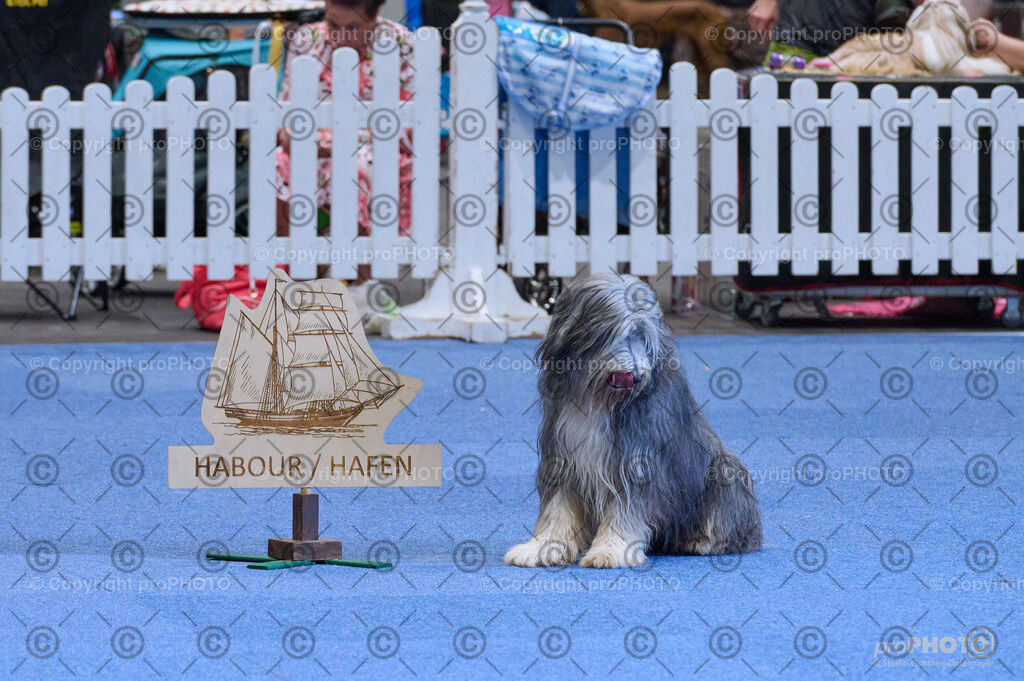 202406_ÖKV-IHA-Tulln24_DSC_5298 | proPHOTO - Realisiert mit Pictrs.com