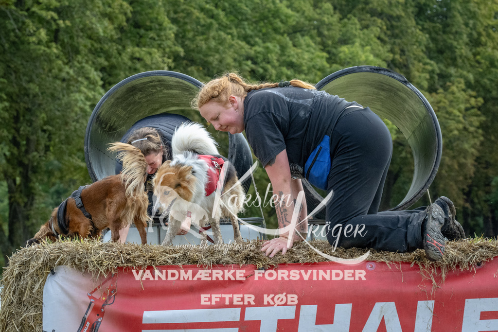 1043_ZZ93060 | kk-dogfotos