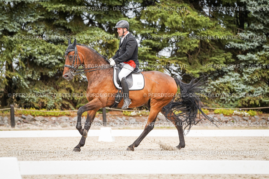 DSC07161 | Pferdegrafie