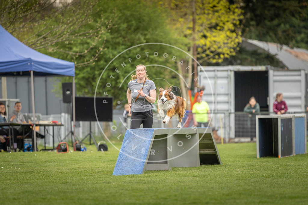 Pfotenfotografie_DV3A1023 | Hundefotografie, Tierfotograf, Pfotenfotografie, Fotoshooting Hund, Hunde Portrait, Hundesport, Hundeportraits, Heideshooting, Hunde, Sportfotograf, Hundefotograf, Turnierhundsport, THS,  - Realisiert mit Pictrs.com