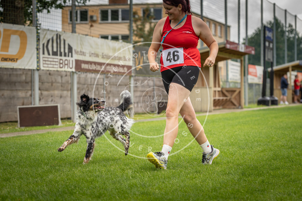 Pfotenfotografie_DV3A5944 | Hundefotografie, Tierfotograf, Pfotenfotografie, Fotoshooting Hund, Hunde Portrait, Hundesport, Hundeportraits, Heideshooting, Hunde, Sportfotograf, Hundefotograf, Turnierhundsport, THS,  - Realisiert mit Pictrs.com