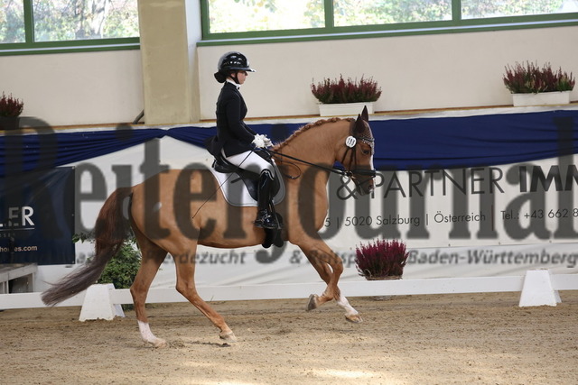 Ising_2025_Prfg.Nr.20_Pony-Dressurprfg.Kl.L_Kür_Lakeysha Eiselt_Crown Wishing Well (5) | Alle Fotos der Reiterjournal Fotografin Doris Matthaes im Reiterjournal Online-Fotoshop. - Realisiert mit Pictrs.com