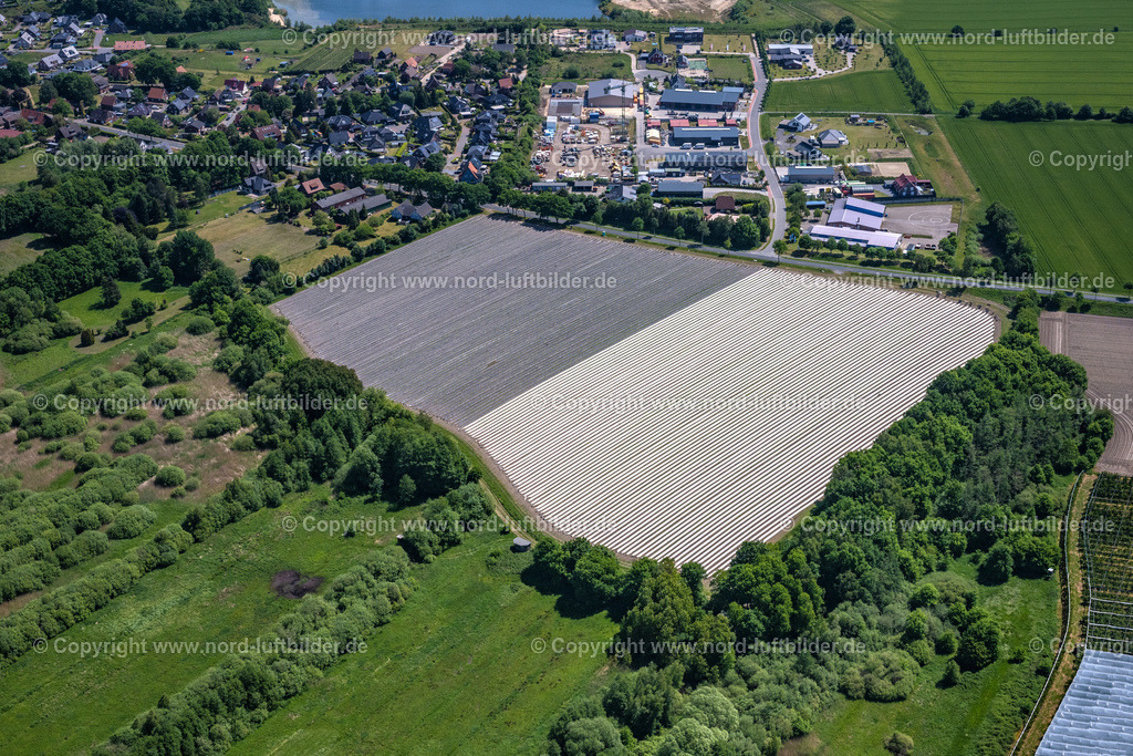 Horneburg_Postmoor_Spargelfeld_ELS_7942280523 | BLIEDERSDORF 28.05.2023 Reihen mit Spargel- Anbau auf Feld- Flächen in Bliedersdorf im Bundesland Niedersachsen, Deutschland. Weiterführende Informationen bei: Werner OHG. // Rows with asparagus growing on field surfaces in Bliedersdorf in the state Lower Saxony, Germany. Further information at: Werner OHG. Foto: Martin Elsen