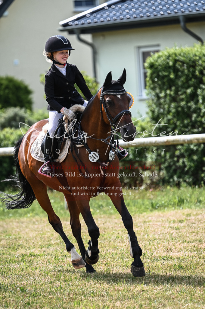 DSC_8627 | Pferde- und Turnierfotografie in Westsachsen. Pferdeportraits, Auftragszeichnungen und intuitive Kunst.