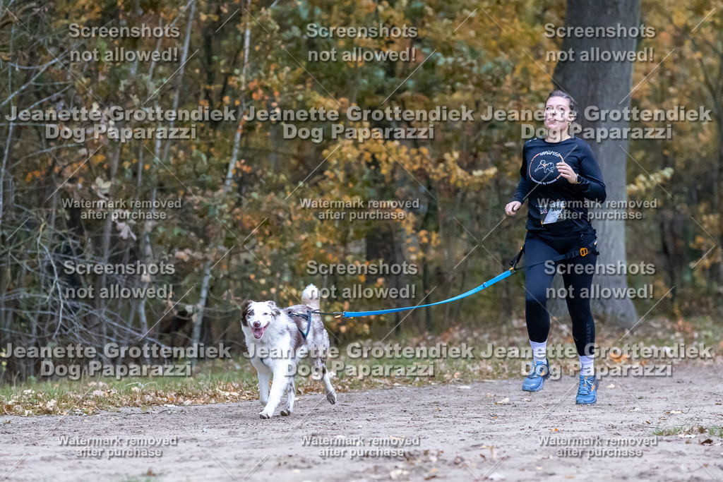 Dog Paparazzi - SD CaniX Championship 2025-154 | Dog Paparazzi Jeanette Grottendiek Fotografie & Videografie - Realisiert mit Pictrs.com