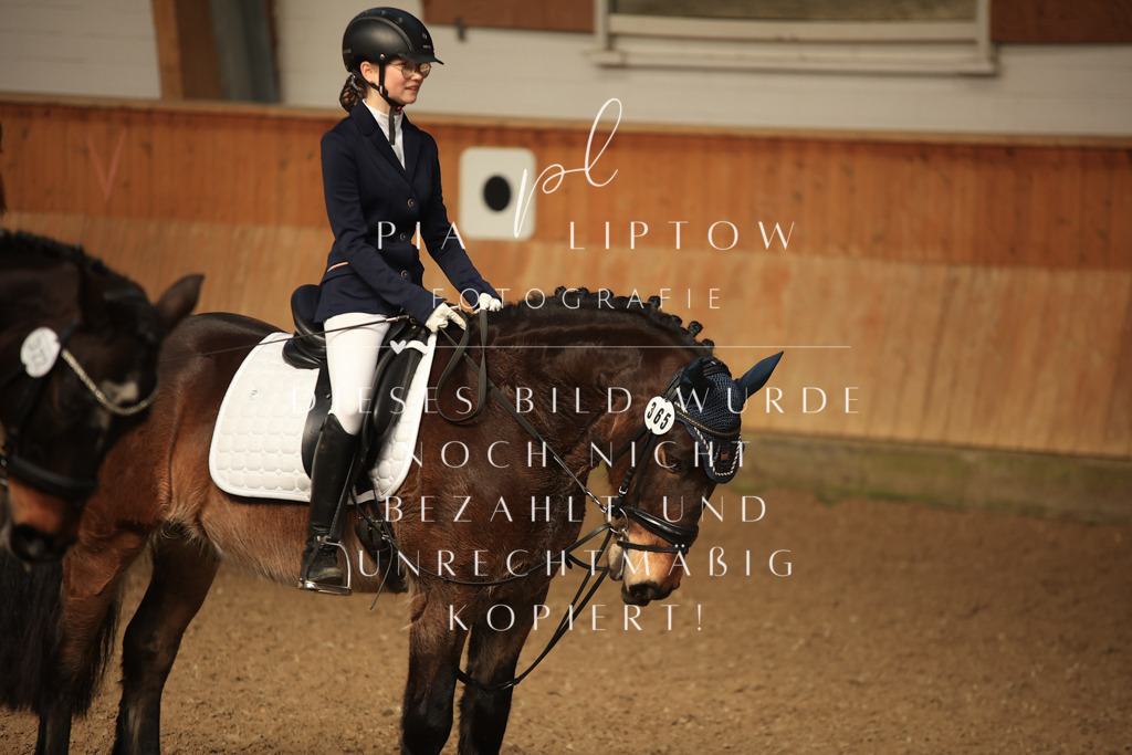 IMGT5506 | pl-fotografie