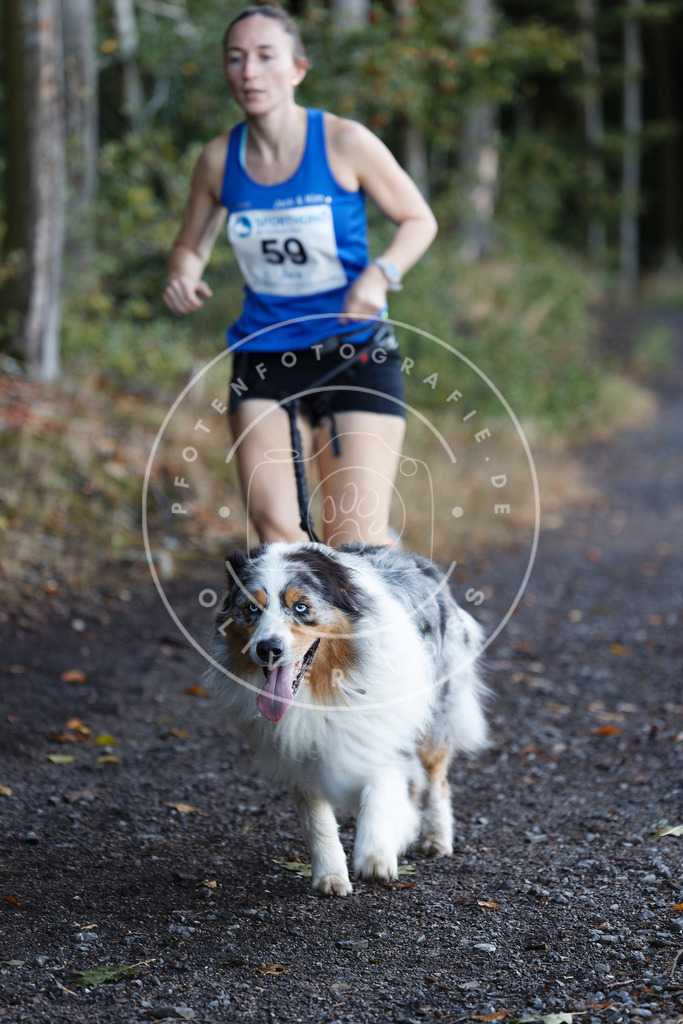 0L8A1858 | Hundefotografie, Tierfotograf, Pfotenfotografie, Fotoshooting Hund, Hunde Portrait, Hundesport, Hundeportraits, Heideshooting, Hunde, Sportfotograf, Hundefotograf, Turnierhundsport, THS,  - Realisiert mit Pictrs.com