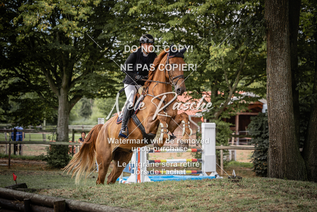 nelerasche_KlDerbyEde_101 | nelerasche