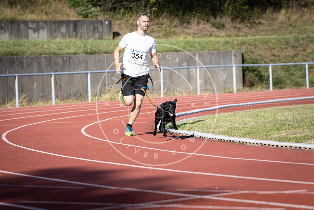 Pfotenfotografie_DV3A9710 | Hundefotografie, Tierfotograf, Pfotenfotografie, Fotoshooting Hund, Hunde Portrait, Hundesport, Hundeportraits, Heideshooting, Hunde, Sportfotograf, Hundefotograf, Turnierhundsport, THS,  - Realisiert mit Pictrs.com