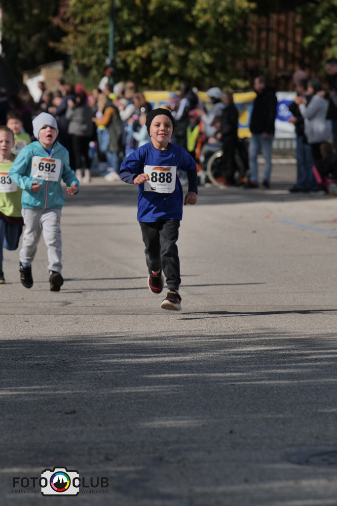 D (413) | Foto Buchgraber