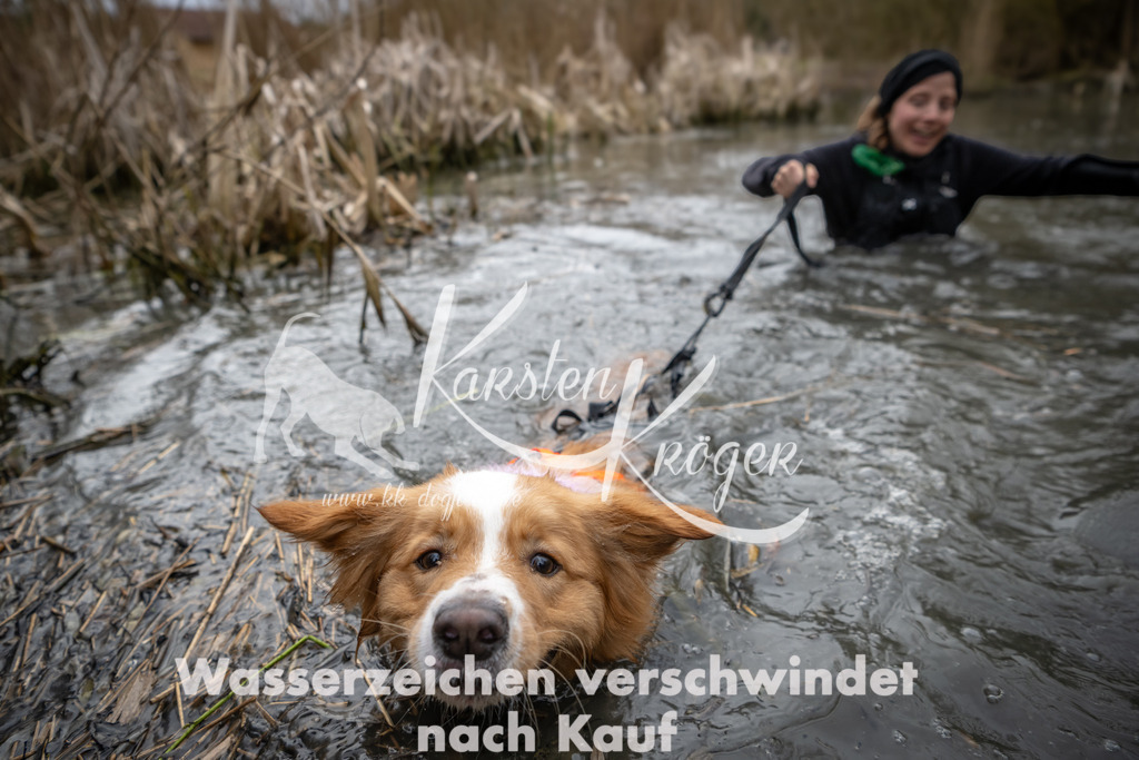 0853_ZZ94339 | kk-dogfotos