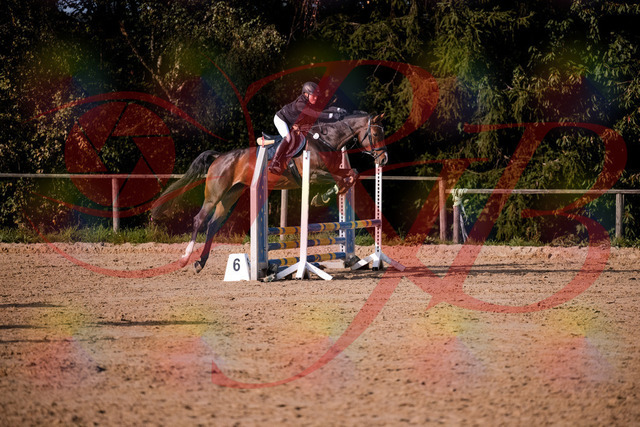 2026_10_03_Siefer-Hof_160007_Z81_80582124 | Professionelle Reitsport-, Turnier- und Eventfotografie von Robert Broda. Galerien mit ausgewählten und bearbeiteten Bildern direkt online ansehen und bestellen.