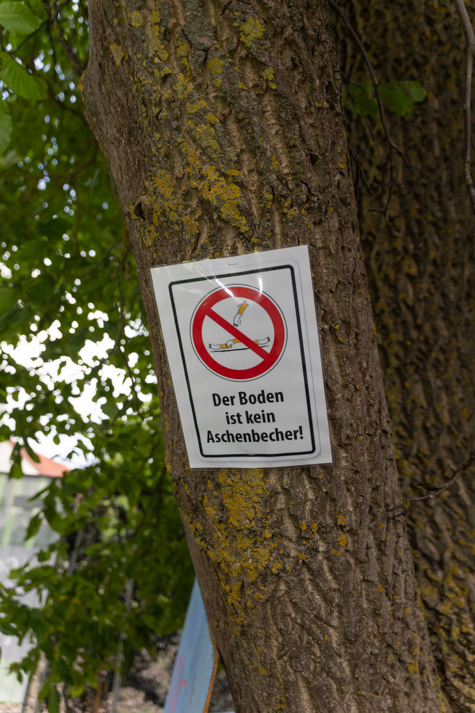 50-001A4541 | fotografie-pfluegl - Realisiert mit Pictrs.com