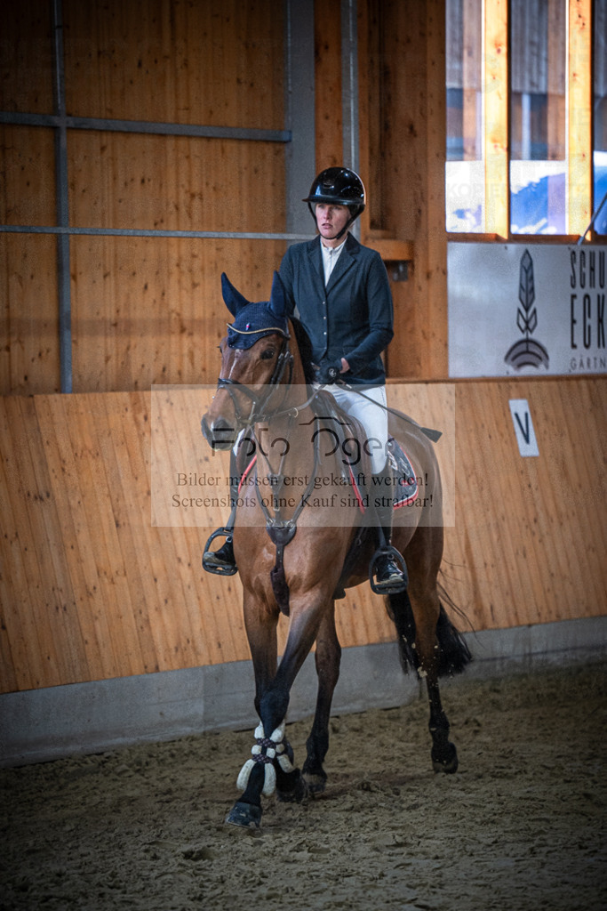 DOS_0961 | Entdecke hochwertige Reitturnierfotos von Foto Oger. Professionell, emotional und authentisch – jetzt Lieblingsmomente im Shop bestellen.Deutschlandweite Turnierfotografie. - Realisiert mit Pictrs.com