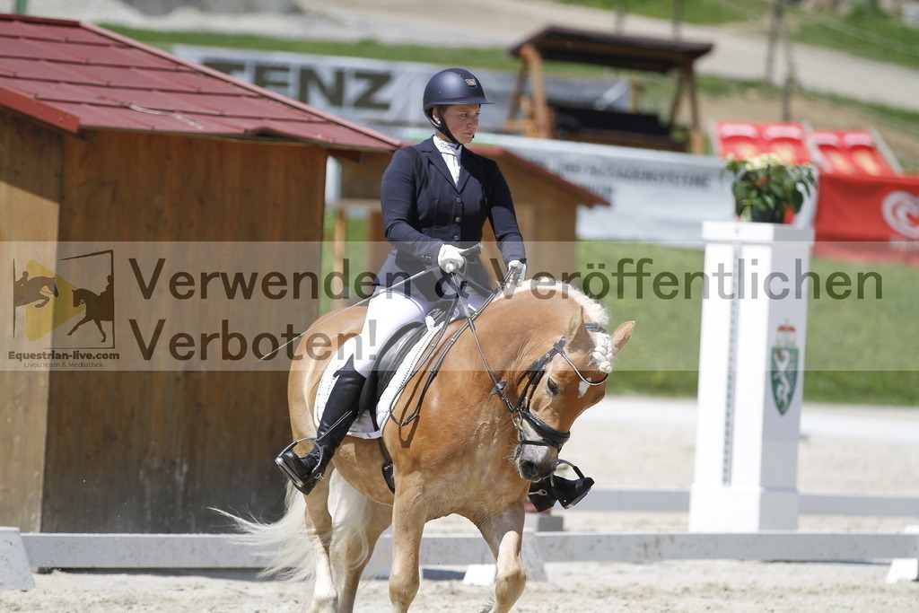 _MG_5236 | equestrian-live-com