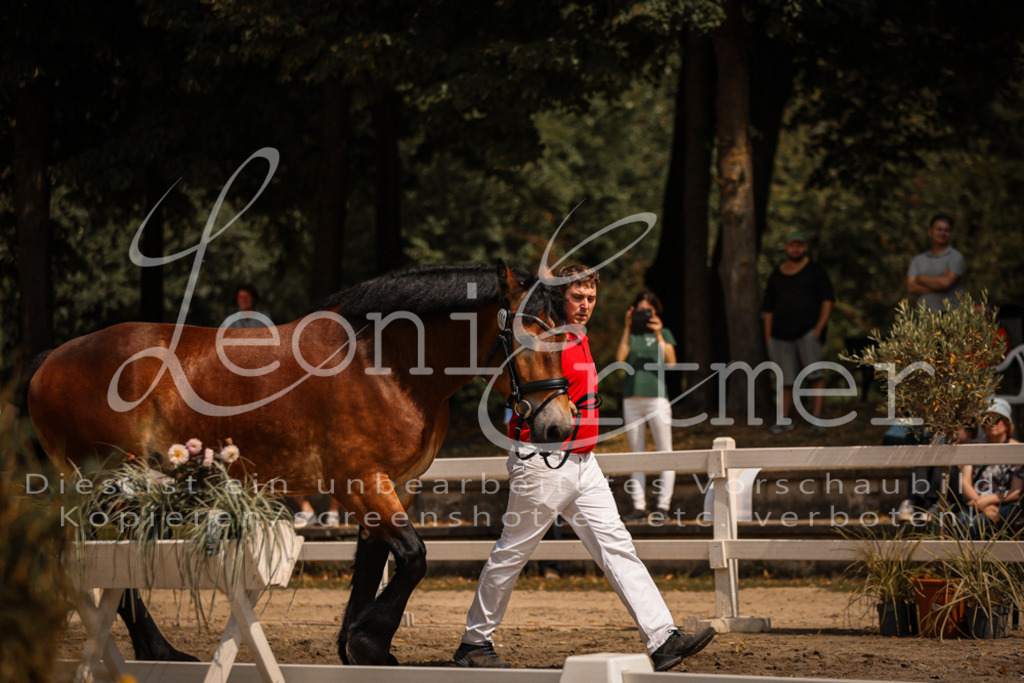 1.Sa00044 | Leoni Ertmer Photography - Realisiert mit Pictrs.com