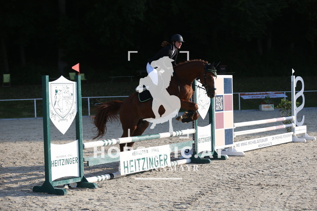 DL2Q8574 | Willkommen bei Brunnmayr - Design & Fotografie – Ihrem Spezialisten für Reitturniere und Pferdeveranstaltungen in Oberösterreich, Salzburg und Bayern! Seit über 17 Jahren sind wir leidenschaftlich dabei.