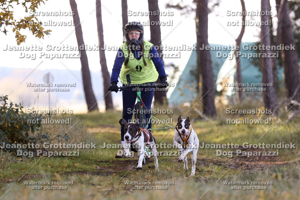 Dog Paparazzi - Elsholz 25 -58 | Dog Paparazzi Jeanette Grottendiek Fotografie & Videografie - Realisiert mit Pictrs.com