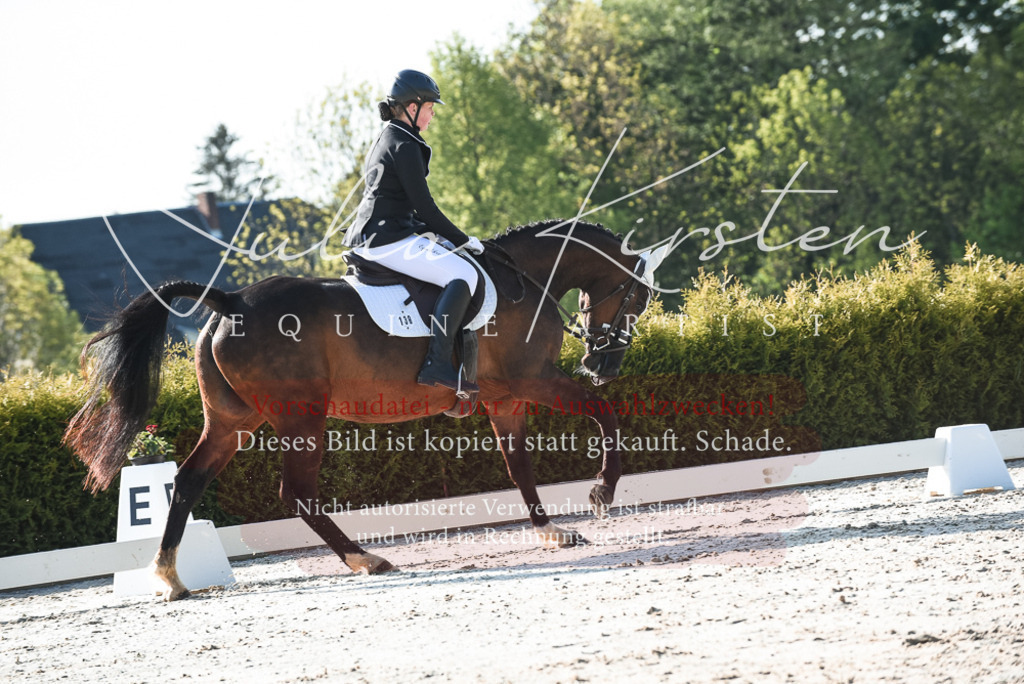 20230518_JK-Röhrsdorf-09-0622 | Pferde- und Turnierfotografie in Westsachsen. Pferdeportraits, Auftragszeichnungen und intuitive Kunst.