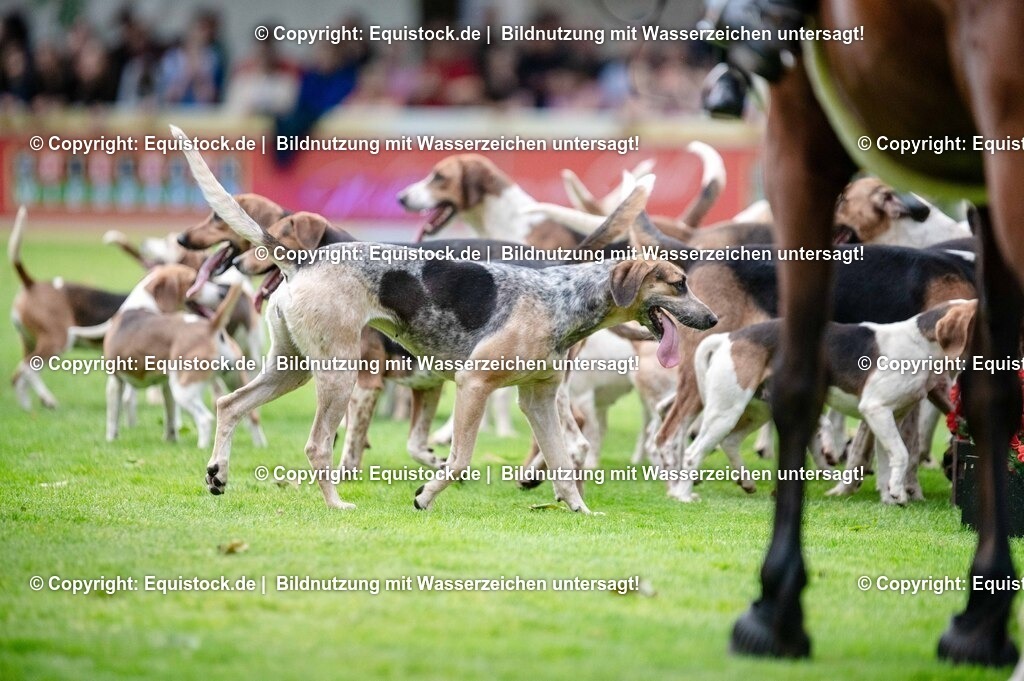 20250606_Lange-Pferdenacht_0471 | Foto: Thomas Hartig