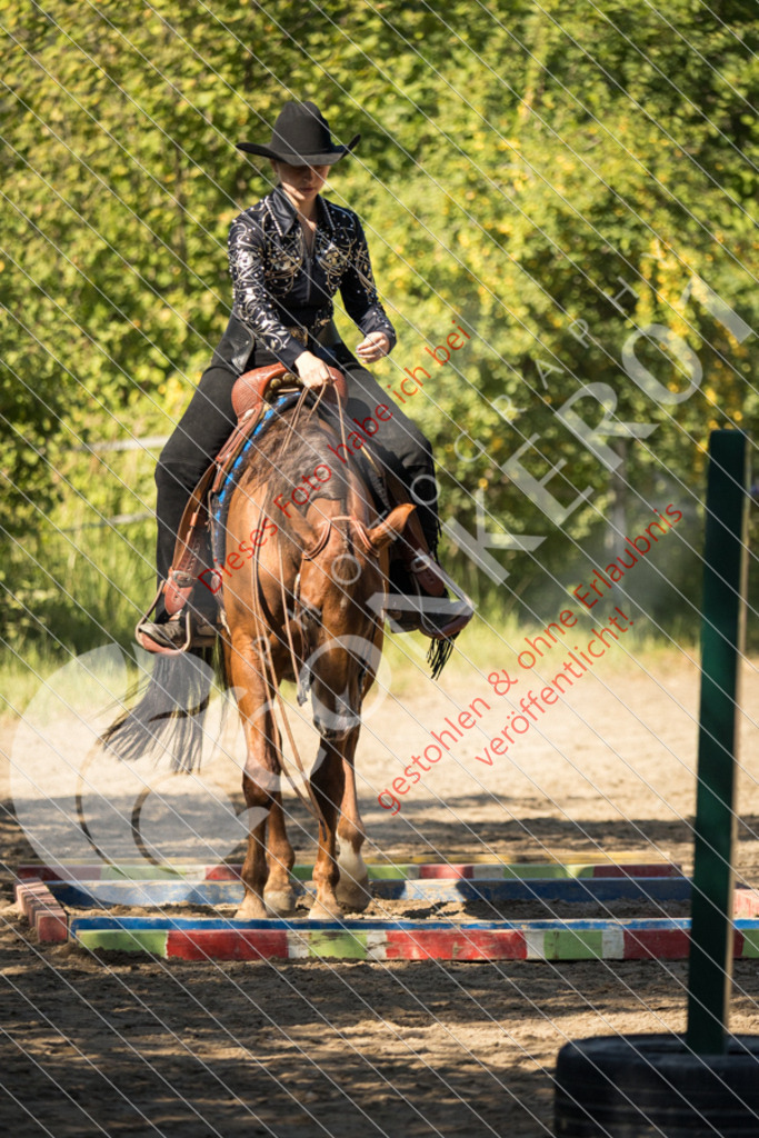 IMG_7325 | Sport-, Event- und Tierfotos in Profiqualität. Einfach auswählen, bestellen und herunterladen. Dein Moment – perfekt festgehalten.