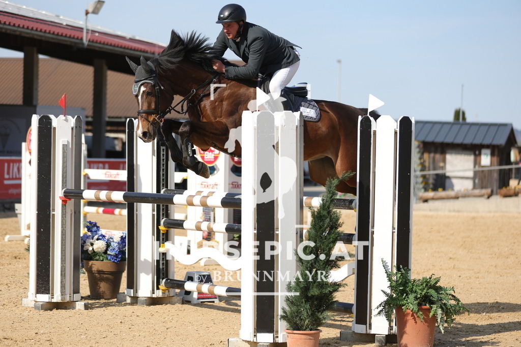 0P6A2387 | Willkommen bei Brunnmayr - Design & Fotografie – Ihrem Spezialisten für Reitturniere und Pferdeveranstaltungen in Oberösterreich, Salzburg und Bayern! Seit über 17 Jahren sind wir leidenschaftlich dabei.