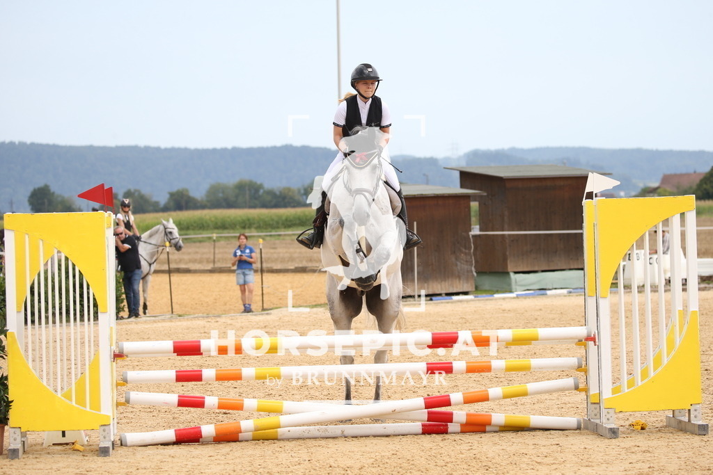 DL2Q3715 | Willkommen bei Brunnmayr - Design & Fotografie – Ihrem Spezialisten für Reitturniere und Pferdeveranstaltungen in Oberösterreich, Salzburg und Bayern! Seit über 17 Jahren sind wir leidenschaftlich dabei.