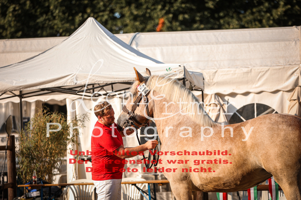 Fr3K00091 | Leoni Ertmer Photography - Realisiert mit Pictrs.com