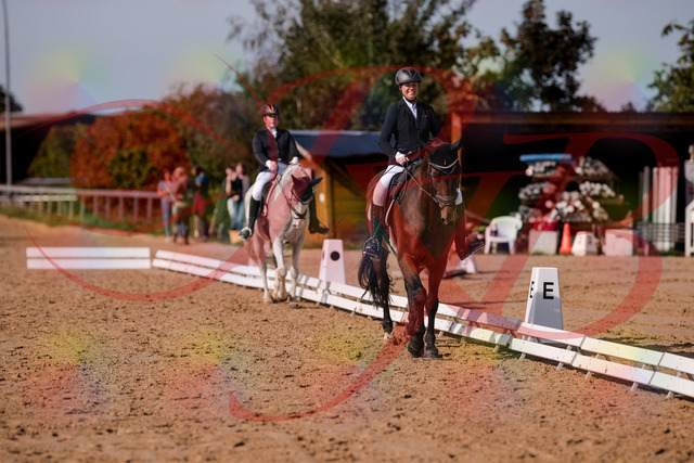 2026_10_03_Siefer-Hof_122835_Z81_27334874 | Professionelle Reitsport-, Turnier- und Eventfotografie von Robert Broda. Galerien mit ausgewählten und bearbeiteten Bildern direkt online ansehen und bestellen.