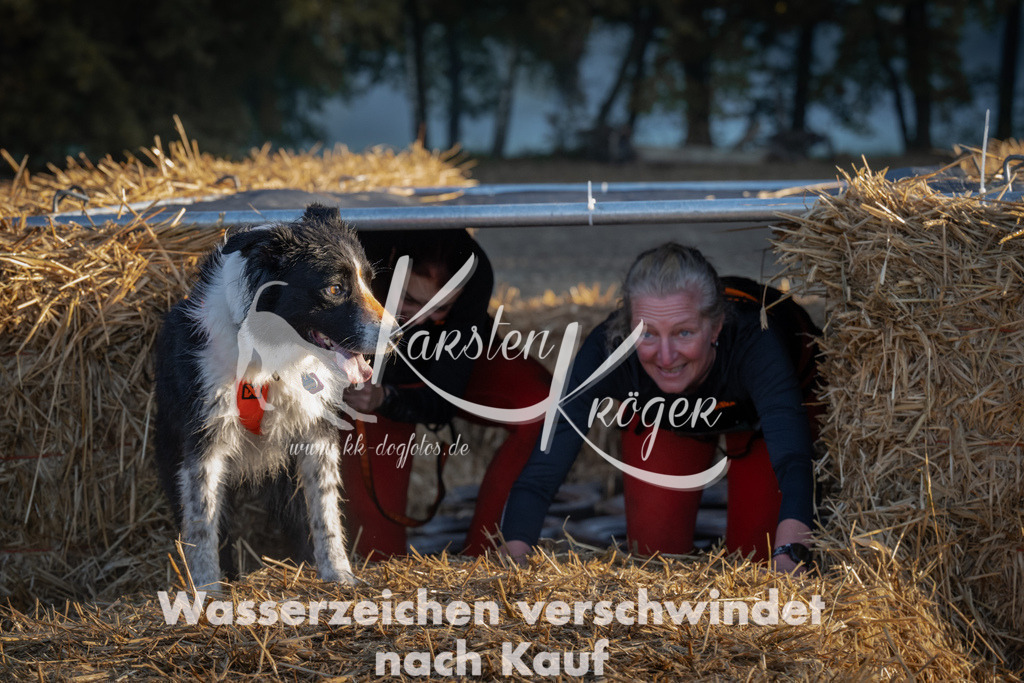 0912_ZZ92006 | kk-dogfotos