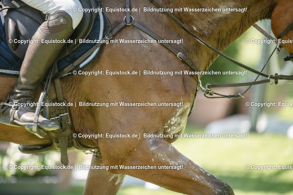 20230527_27_CCI4_Gelände_0160 | equistock