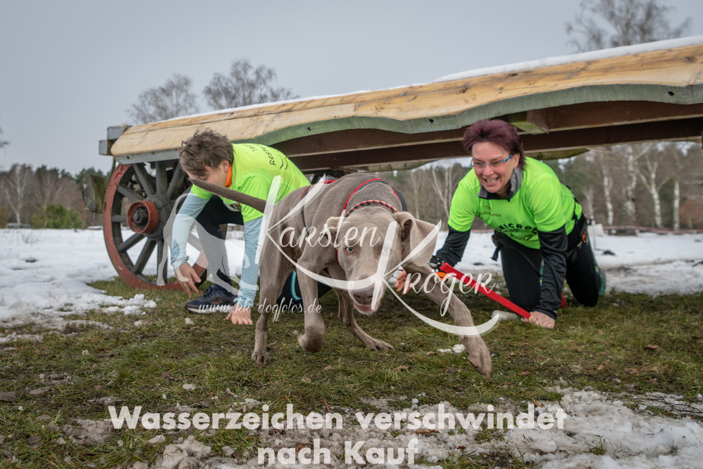 0938_ZZ91001 | kk-dogfotos