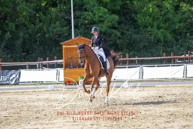 DKP46577 | Turniersportfotografie; Pferdefotografie; Dressurfotografie