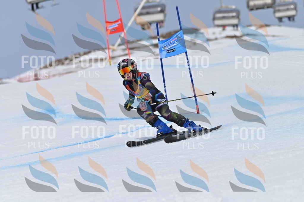 BGV_4690 | holidayphoto