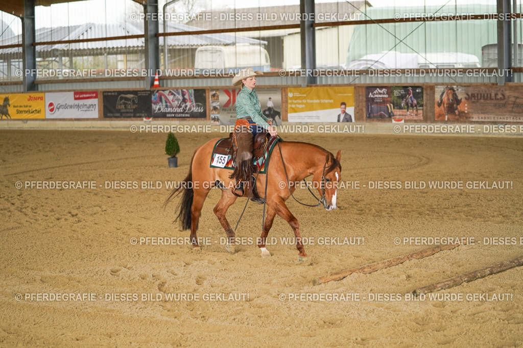 DSC05050 | Pferdegrafie