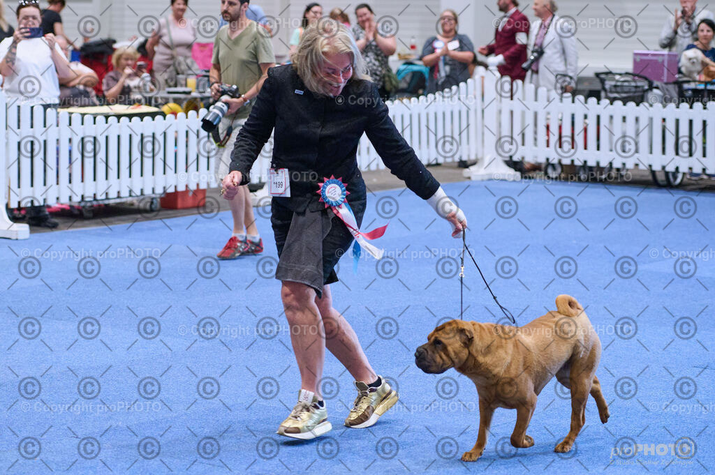 202406_ÖKV-IHA-Tulln24_DSC_3641 | proPHOTO - Realisiert mit Pictrs.com