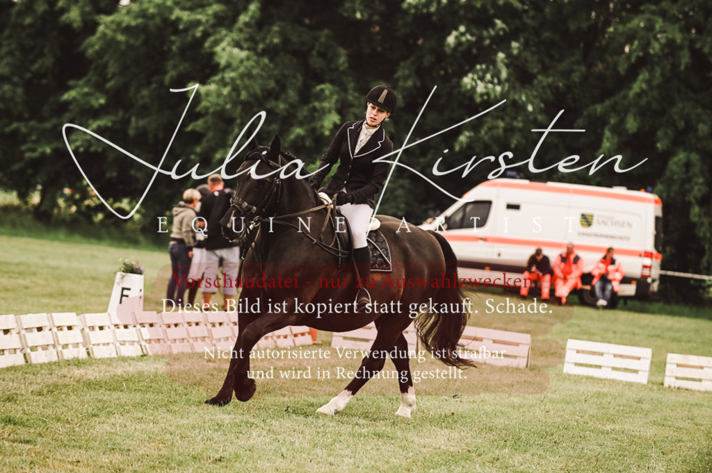 DSC_5001 | Pferde- und Turnierfotografie in Westsachsen. Pferdeportraits, Auftragszeichnungen und intuitive Kunst.