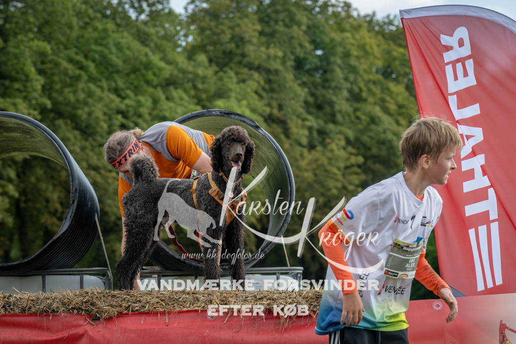 0946_ZZ91127 | kk-dogfotos