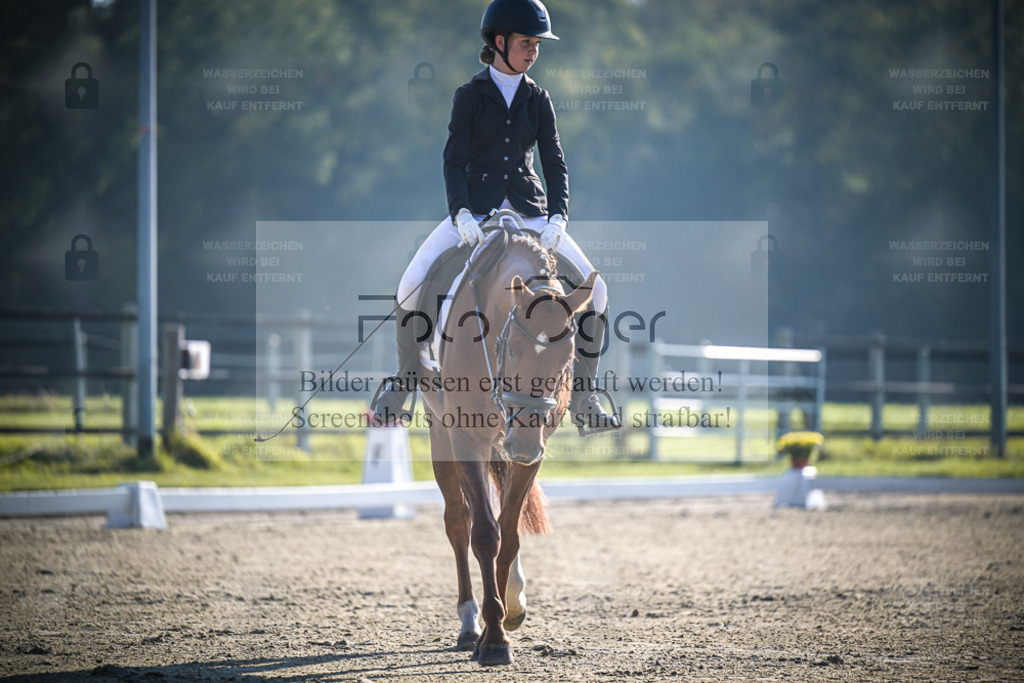 DOS_0996 | Entdecke hochwertige Reitturnierfotos von Foto Oger. Professionell, emotional und authentisch – jetzt Lieblingsmomente im Shop bestellen. - Realisiert mit Pictrs.com