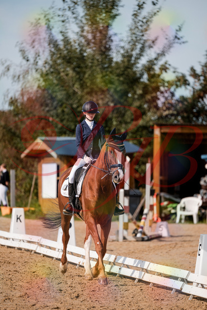 2026_10_03_Siefer-Hof_123441_Z63_52987498 | Professionelle Reitsport-, Turnier- und Eventfotografie von Robert Broda. Galerien mit ausgewählten und bearbeiteten Bildern direkt online ansehen und bestellen.