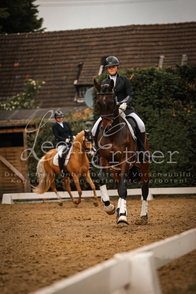 DoDrA00675 | Leoni Ertmer Photography - Realisiert mit Pictrs.com