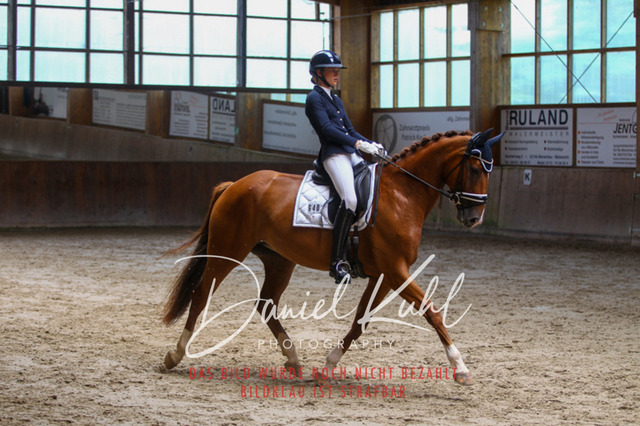 DKP43428 | Turniersportfotografie; Pferdefotografie; Dressurfotografie