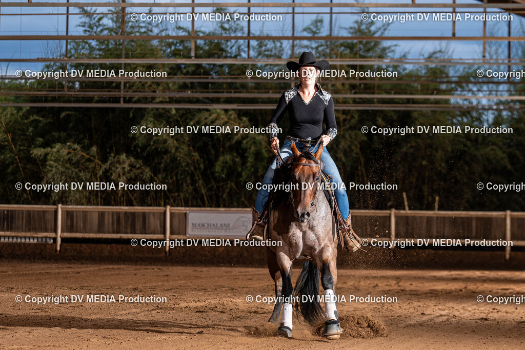 Erbach Tag 1-1278 | dv-media-shop - Realisiert mit Pictrs.com