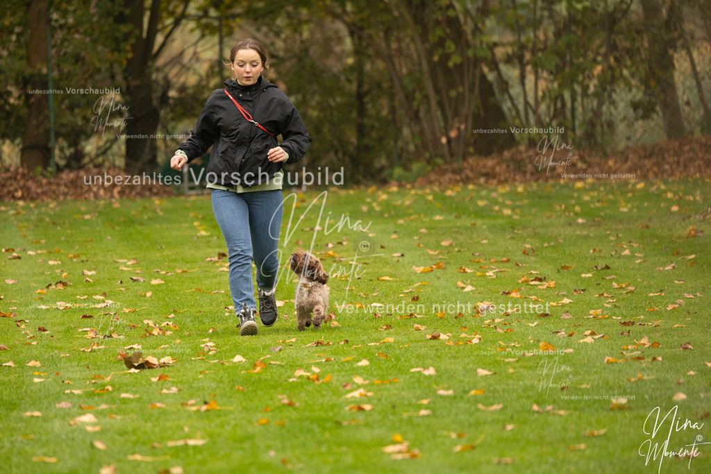 _16A0553 | Einzigartige Fotos von Hunden & Menschen –Actionfotos, Portraits, Vereinsaufnahmen & Paarshootings – authentisch, lebendig & mit Herz.