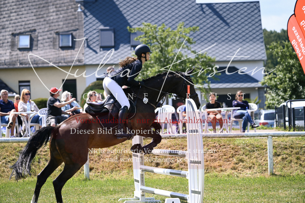 DSC_0443 | Pferde- und Turnierfotografie in Westsachsen. Pferdeportraits, Auftragszeichnungen und intuitive Kunst.