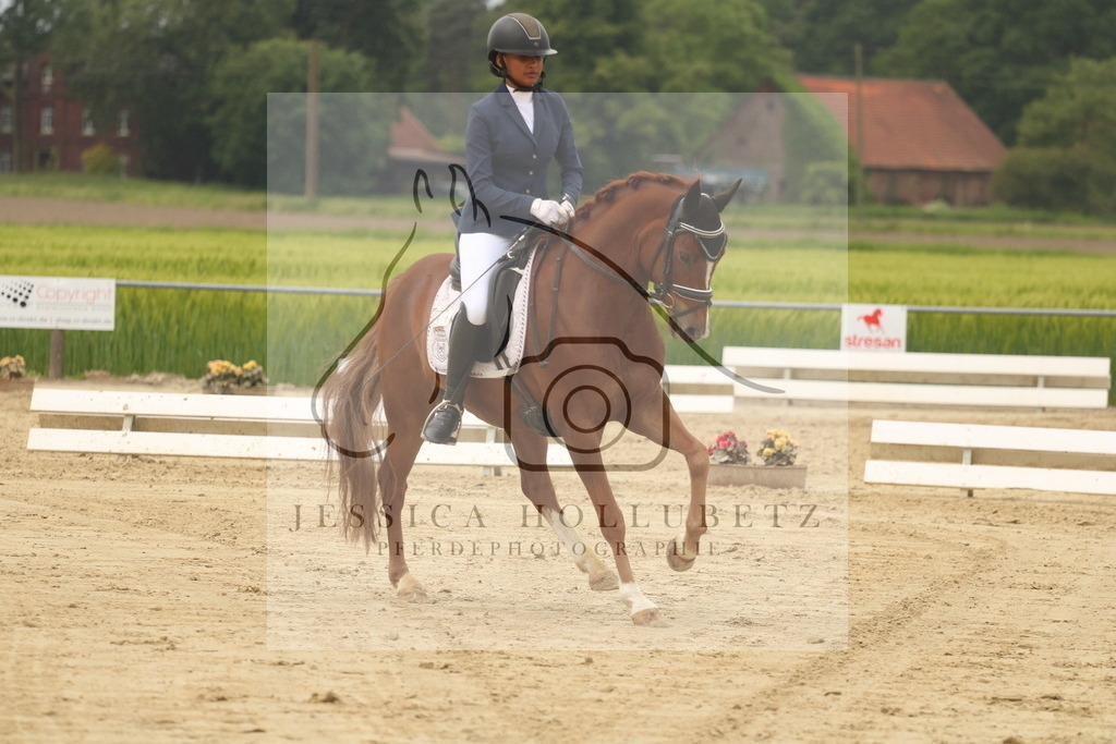 IMG_6943 | jessicahollubetz_pferdephotographie - Realisiert mit Pictrs.com