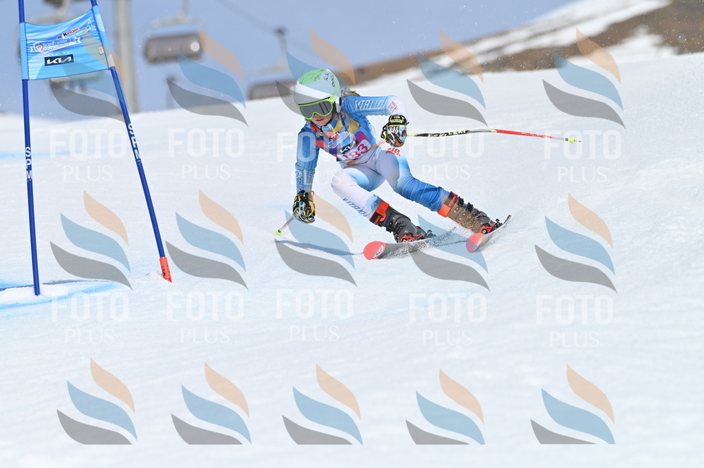 BGV_0672 | holidayphoto