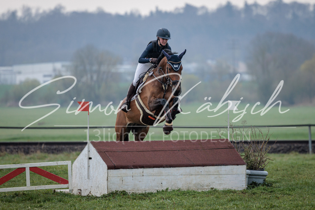 20260329-_3LI3935 | Tierfotografie Pferde, Hunde, Katzen, Haustiere.
Turnierfotografie Reitturniere, Reiten, Springreiten, Dressur in Hanau, dem Main-Kinzig-Kreis und dem Rhein-Main- Gebiet um Frankfurt